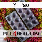 Yi Pao 31